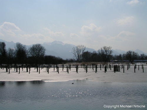 Copyright Michael Nitsche